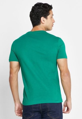 Camisetas masculinas verdes com gola redonda e logotipo Ralph Lauren
