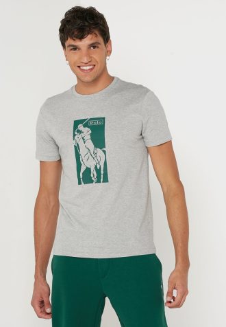 Camisetas Ralph Lauren Masculinas Cinza Estampadas Gola Redonda